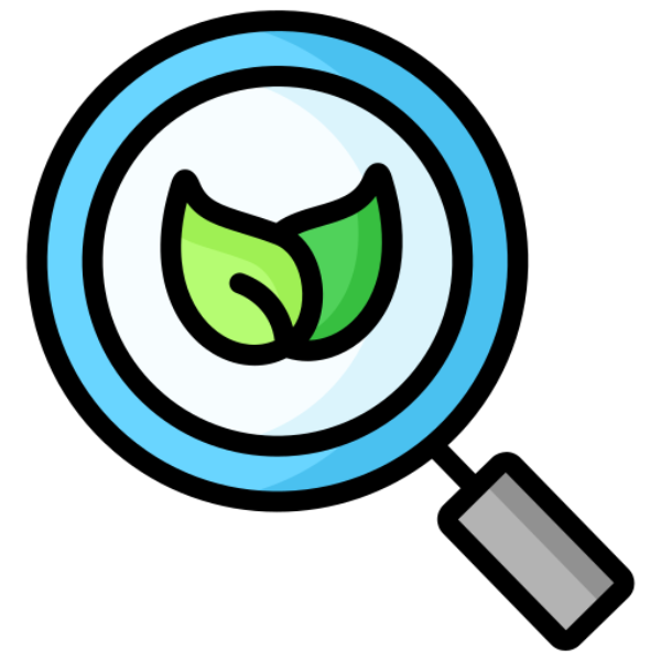 Increased Organic Traffic