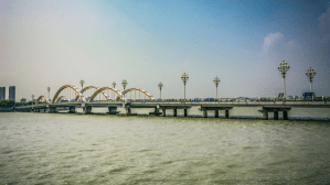 SEO Services in Bangalore