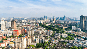 SEO Services in Indore