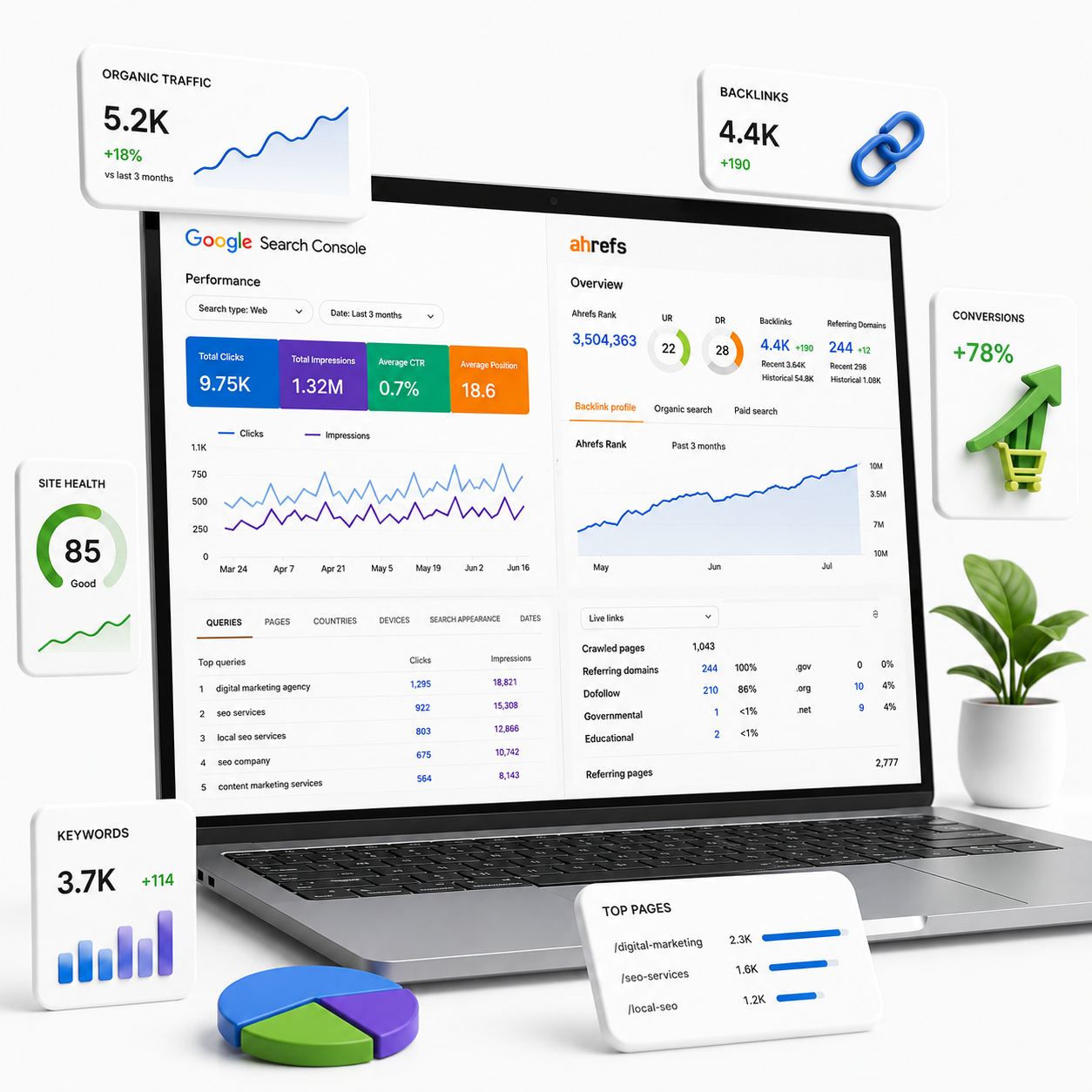 seo audit and traffic report